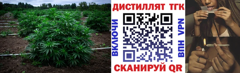 купить цена Ярцево Дистиллят ТГК вейп с тгк